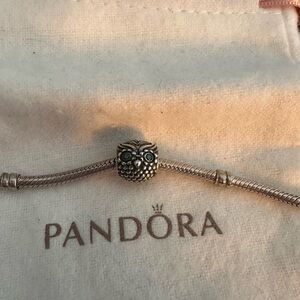 Pandora Owl Charm with green eyes.